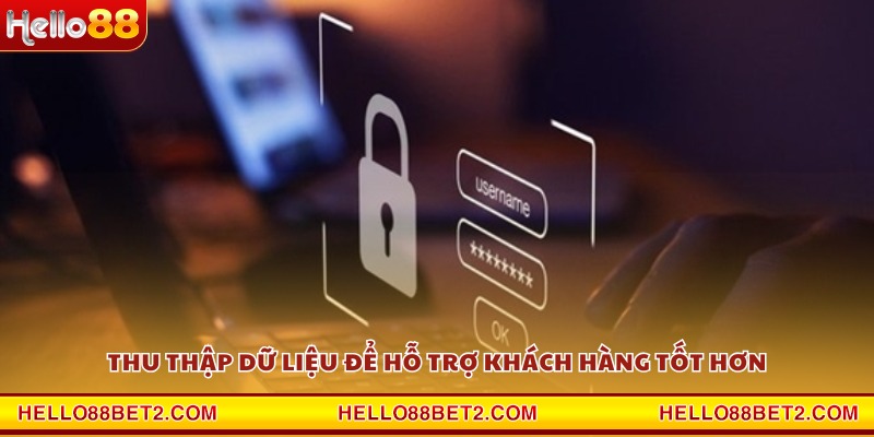 Thu thập dữ liệu để hỗ trợ khách hàng tốt hơn