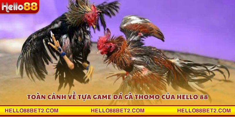Toàn cảnh về tựa game Đá Gà Thomo của Hello 88