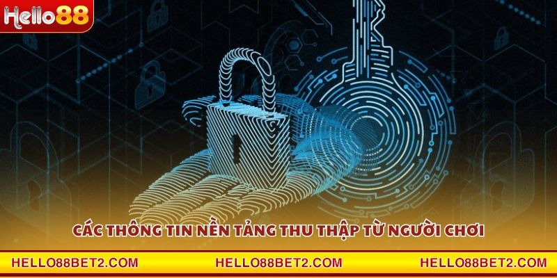 Các thông tin nền tảng thu thập từ người chơi